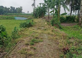যশোর সদর