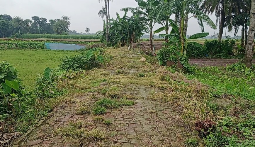 যশোর