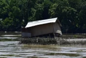 আসামে বন্যা পরিস্থিতির চরম অবনতি: প্রাণহানি বেড়ে ৯৫, বিপন্ন ১১ লাখ মানুষ