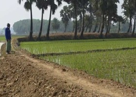 ১২জনেই এক গ্রাম