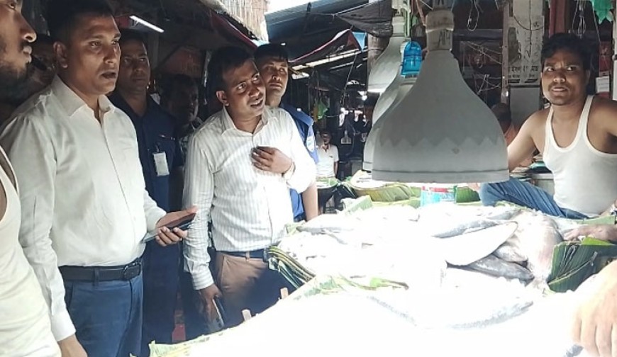 কাগজপত্র না থাকায় ভারতীয় ইলিশের আড়তকে জরিমানা