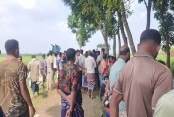 শিয়ালের টানাটানিতে বেরিয়ে এলো খড়ের নিচে থাকা যুবকের মরদেহ