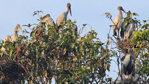 তাদের আতিথেয়তায় পাখিরাও যেন মুগ্ধ।